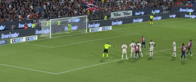 花有重开日，人无再少年内马尔