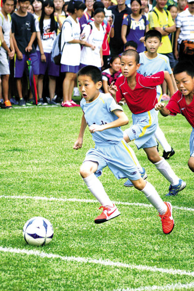 博彩运营商赞助野生动物保护